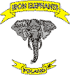 Iron Elephants MC